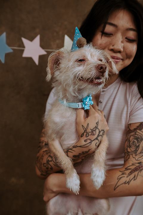 Pet Portraits with A woman with tattooed arms holds a small dog wearing a blue party hat in front of a brown background with star-shaped decorations. Tanya Eivin Photography