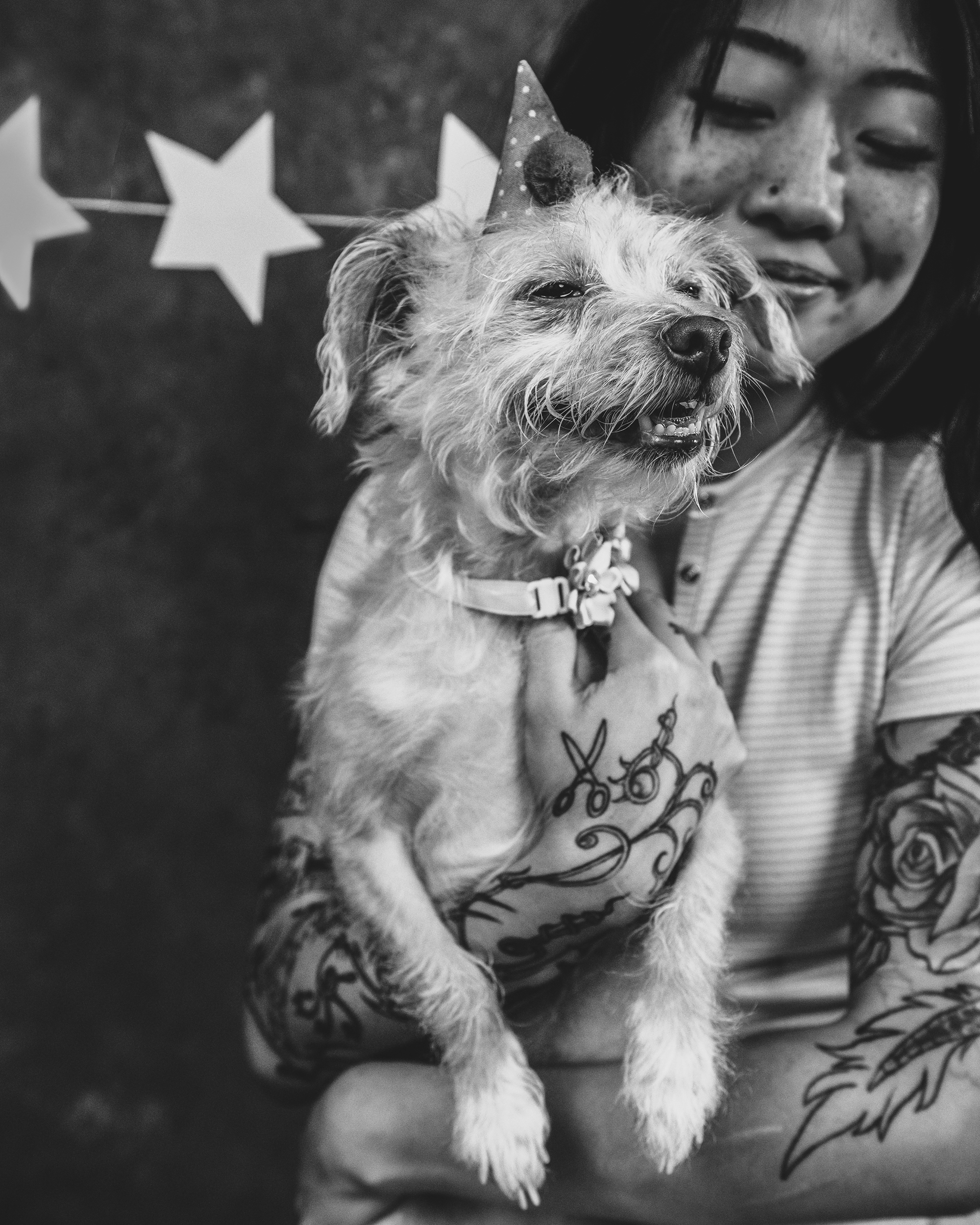 A woman with tattoos holds a small dog wearing a party hat. Both appear content, and star decorations are visible in the background. Tanya Eivin Photography
